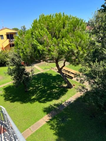 Complesso Oasi Apartment Tirrenia Exterior photo